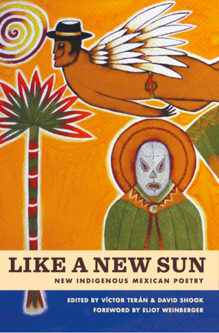 Imagen de portada: Like A New Sun 9781939419262