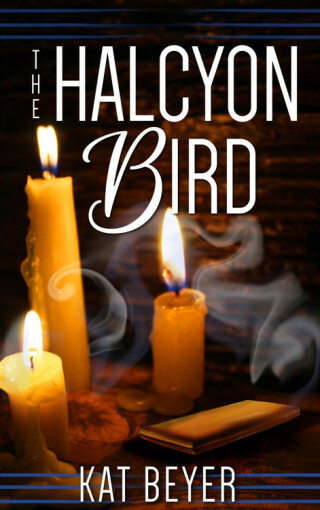 صورة الغلاف: The Halcyon Bird 9781939481382