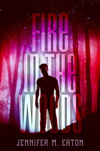 Cover image: Fire in the Woods 1st edition 9780692242018