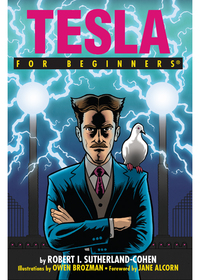 Immagine di copertina: Tesla For Beginners 9781939994486