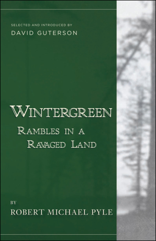 Cover image: Wintergreen 9781940436234