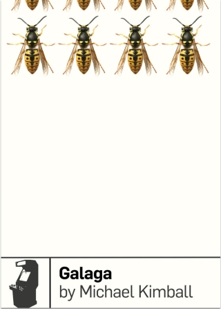 Cover image: Galaga 9781940535036