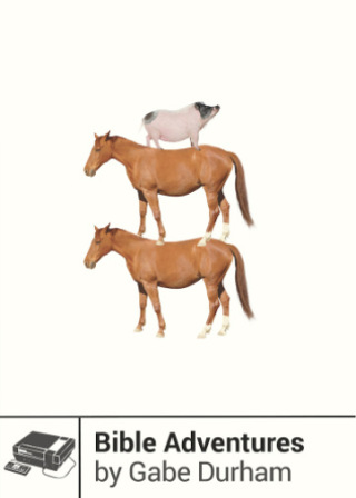 Cover image: Bible Adventures 9781940535074