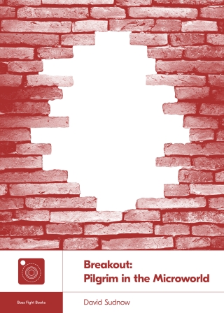 Cover image: Breakout: Pilgrim in the Microworld 9781940535234