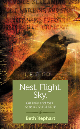 Cover image: Nest. Flight. Sky. 9781940838120