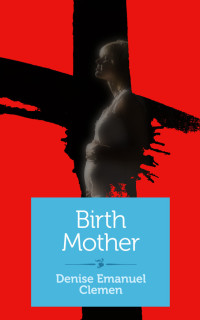 Imagen de portada: Birth Mother 9781940838601