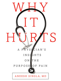Cover image: Why It Hurts 9781940858241