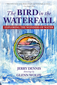 Cover image: The Bird in the Waterfall