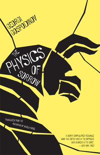 Titelbild: The Physics of Sorrow 9781940953090