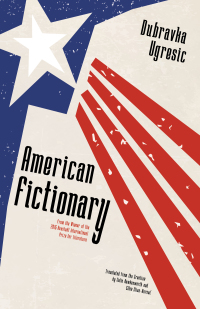 Cover image: American Fictionary 9781940953847