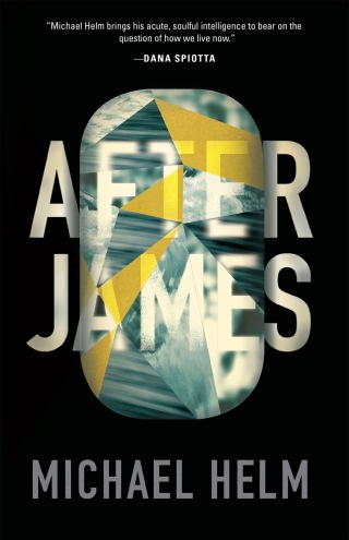 Cover image: After James 9781941040416