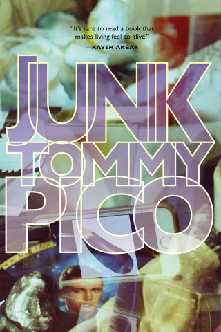 Cover image: Junk 9781941040973