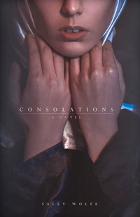 صورة الغلاف: Consolations: A Novel