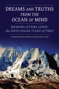 Cover image: Dreams and Truths from the Ocean of Mind 9781941312087