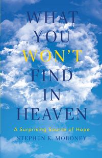 Titelbild: What You WON'T Find in Heaven 9781941337486