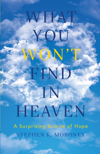 صورة الغلاف: What You WON'T Find in Heaven 9781941337486