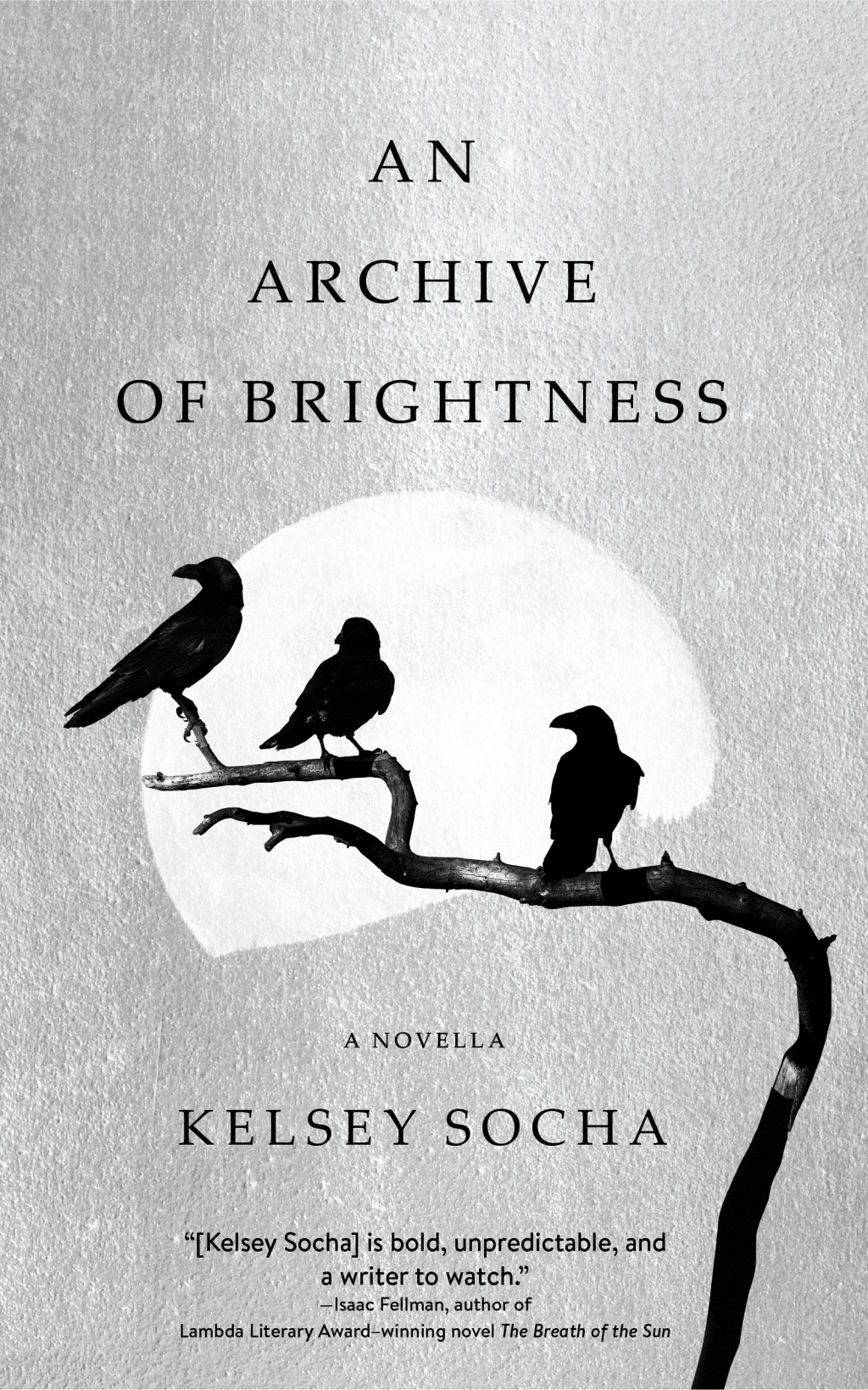 An Archive of Brightness