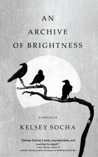 Cover image: An Archive of Brightness 9781941360651