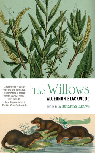 Imagen de portada: The Willows 9781941360835