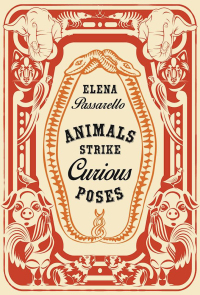 Cover image: Animals Strike Curious Poses 9781941411391