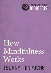 Cover image: How Mindfulness Works