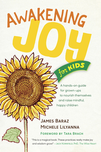 Cover image: Awakening Joy for Kids 9781941529287