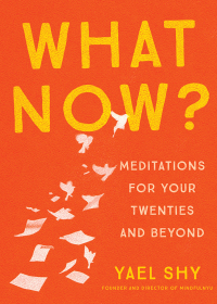 Cover image: What Now? 9781941529829