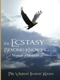 Omslagafbeelding: The Ecstasy Beyond Knowing 9781941810019