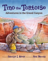 Cover image: Tino the Tortoise 9781941821459