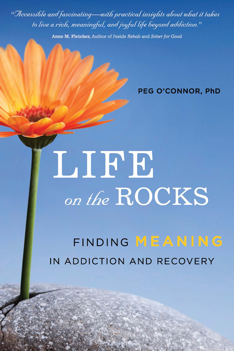 Life on the Rocks : Finding Meaning in Addiction and Recovery - FULL INSTANT DOWNLOAD | PDF DOCX EPUB