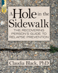 表紙画像: A Hole in the Sidewalk 9781942094739
