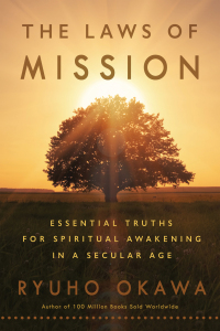 Cover image: The Laws of Mission 9781942125242