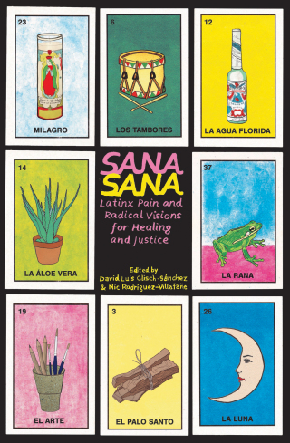 Cover image: Sana, Sana 9781942173786