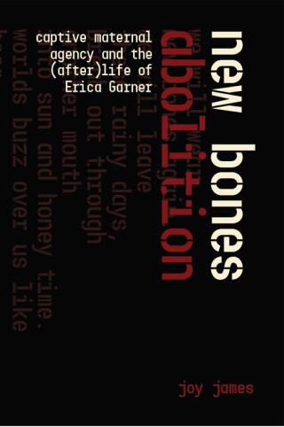 Cover image: New Bones Abolition 9781942173748