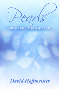 Immagine di copertina: Pearls from the Mind Awake 9781942253204