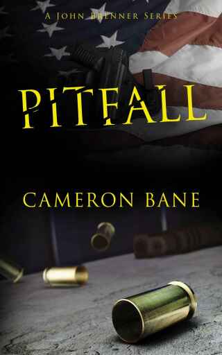 Imagen de portada: Pitfall 9781942266198