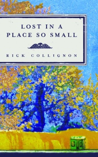 Cover image: Lost in a Place So Small 9781942280668