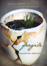 Cover image: Fragile