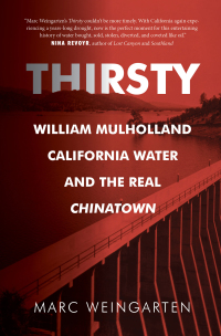 Cover image: Thirsty 9781942600022
