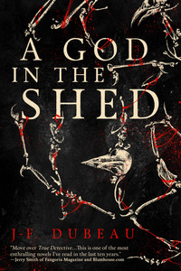 Titelbild: A God in the Shed 9781942645351