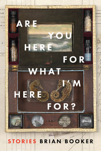 Cover image: Are You Here For What I'm Here For? 9781942658122