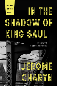 Cover image: In the Shadow of King Saul 9781942658429