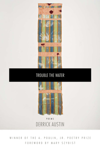 Imagen de portada: Trouble the Water 9781942683049