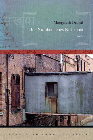 Cover image: This Number Does Not Exist 9781942683124