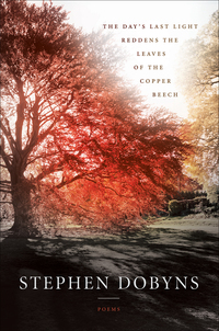 Omslagafbeelding: The Day's Last Light Reddens the Leaves of the Copper Beech 9781942683162