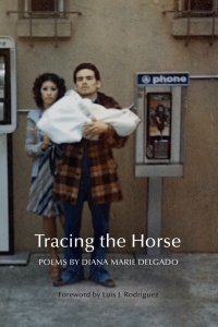 Cover image: Tracing the Horse 9781942683872