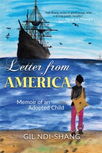 Imagen de portada: Letter from America 9781942876489