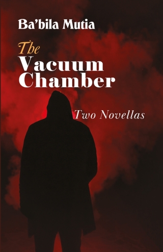 صورة الغلاف: The Vacuum Chamber 9781942876700