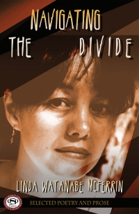 Cover image: Navigating the Divide 9781942892144