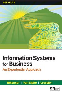 Cover image: Information Systems for Business: An Experiential Approach, Edition 3.1 3rd edition 9781943153732